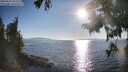 ./images/koeye/fitz-hugh/20250823/fitz-hugh20250823_181511M.jpg