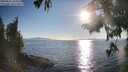 ./images/koeye/fitz-hugh/20250823/fitz-hugh20250823_182513M.jpg