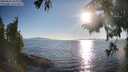 ./images/koeye/fitz-hugh/20250823/fitz-hugh20250823_183011M.jpg