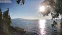 ./images/koeye/fitz-hugh/20250823/fitz-hugh20250823_183510M.jpg