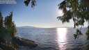 ./images/koeye/fitz-hugh/20250823/fitz-hugh20250823_184011M.jpg