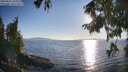 ./images/koeye/fitz-hugh/20250823/fitz-hugh20250823_184511M.jpg