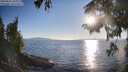 ./images/koeye/fitz-hugh/20250823/fitz-hugh20250823_185010M.jpg
