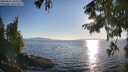 ./images/koeye/fitz-hugh/20250823/fitz-hugh20250823_185510M.jpg