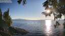 ./images/koeye/fitz-hugh/20250823/fitz-hugh20250823_190509M.jpg