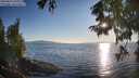 ./images/koeye/fitz-hugh/20250823/fitz-hugh20250823_191009M.jpg