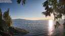 ./images/koeye/fitz-hugh/20250823/fitz-hugh20250823_192511M.jpg