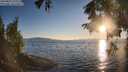 ./images/koeye/fitz-hugh/20250823/fitz-hugh20250823_193508M.jpg