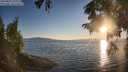 ./images/koeye/fitz-hugh/20250823/fitz-hugh20250823_194010M.jpg
