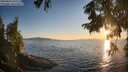 ./images/koeye/fitz-hugh/20250823/fitz-hugh20250823_195509M.jpg
