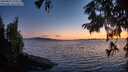 ./images/koeye/fitz-hugh/20250823/fitz-hugh20250823_210508M.jpg