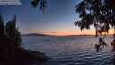 ./images/koeye/fitz-hugh/20250823/fitz-hugh20250823_211509M.jpg