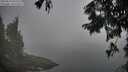 ./images/koeye/fitz-hugh/20250824/fitz-hugh20250824_063510M.jpg