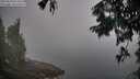 ./images/koeye/fitz-hugh/20250824/fitz-hugh20250824_074510M.jpg