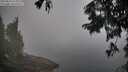 ./images/koeye/fitz-hugh/20250824/fitz-hugh20250824_075012M.jpg