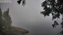 ./images/koeye/fitz-hugh/20250824/fitz-hugh20250824_075510M.jpg