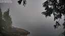 ./images/koeye/fitz-hugh/20250824/fitz-hugh20250824_080012M.jpg