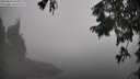 ./images/koeye/fitz-hugh/20250824/fitz-hugh20250824_103510M.jpg