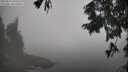./images/koeye/fitz-hugh/20250824/fitz-hugh20250824_105510M.jpg
