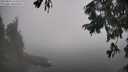 ./images/koeye/fitz-hugh/20250824/fitz-hugh20250824_112513M.jpg