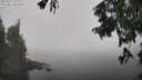 ./images/koeye/fitz-hugh/20250824/fitz-hugh20250824_123508M.jpg