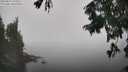./images/koeye/fitz-hugh/20250824/fitz-hugh20250824_125011M.jpg