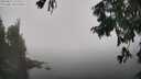 ./images/koeye/fitz-hugh/20250824/fitz-hugh20250824_125508M.jpg