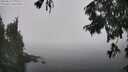./images/koeye/fitz-hugh/20250824/fitz-hugh20250824_130011M.jpg