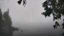./images/koeye/fitz-hugh/20250824/fitz-hugh20250824_131511M.jpg
