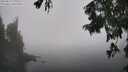./images/koeye/fitz-hugh/20250824/fitz-hugh20250824_132008M.jpg