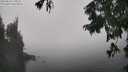 ./images/koeye/fitz-hugh/20250824/fitz-hugh20250824_133506M.jpg