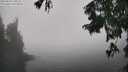 ./images/koeye/fitz-hugh/20250824/fitz-hugh20250824_135510M.jpg