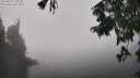 ./images/koeye/fitz-hugh/20250824/fitz-hugh20250824_140012M.jpg