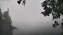 ./images/koeye/fitz-hugh/20250824/fitz-hugh20250824_140510M.jpg