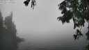 ./images/koeye/fitz-hugh/20250824/fitz-hugh20250824_141011M.jpg
