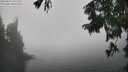 ./images/koeye/fitz-hugh/20250824/fitz-hugh20250824_141512M.jpg