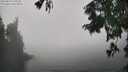 ./images/koeye/fitz-hugh/20250824/fitz-hugh20250824_142513M.jpg