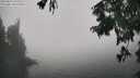./images/koeye/fitz-hugh/20250824/fitz-hugh20250824_143011M.jpg