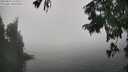 ./images/koeye/fitz-hugh/20250824/fitz-hugh20250824_143509M.jpg
