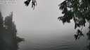 ./images/koeye/fitz-hugh/20250824/fitz-hugh20250824_145010M.jpg