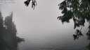 ./images/koeye/fitz-hugh/20250824/fitz-hugh20250824_150509M.jpg