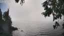 ./images/koeye/fitz-hugh/20250824/fitz-hugh20250824_160510M.jpg