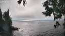 ./images/koeye/fitz-hugh/20250824/fitz-hugh20250824_162010M.jpg