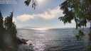 ./images/koeye/fitz-hugh/20250824/fitz-hugh20250824_163511M.jpg