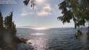 ./images/koeye/fitz-hugh/20250824/fitz-hugh20250824_164009M.jpg