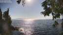 ./images/koeye/fitz-hugh/20250824/fitz-hugh20250824_164511M.jpg