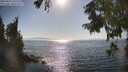 ./images/koeye/fitz-hugh/20250824/fitz-hugh20250824_165510M.jpg