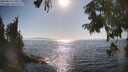 ./images/koeye/fitz-hugh/20250824/fitz-hugh20250824_170511M.jpg