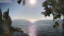 ./images/koeye/fitz-hugh/20250824/fitz-hugh20250824_171009M.jpg
