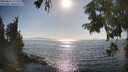 ./images/koeye/fitz-hugh/20250824/fitz-hugh20250824_171511M.jpg